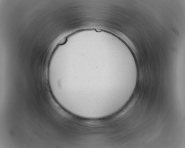 X0000113871388200910221325