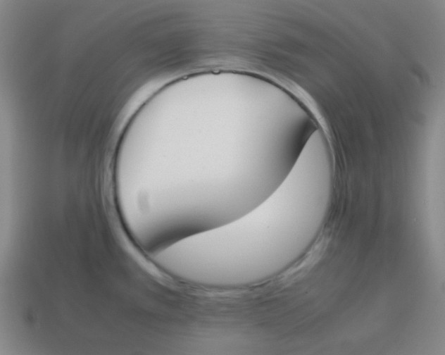 X0000113871389200910221325