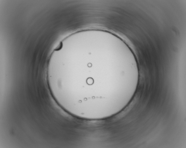 X0000113871390200910221325