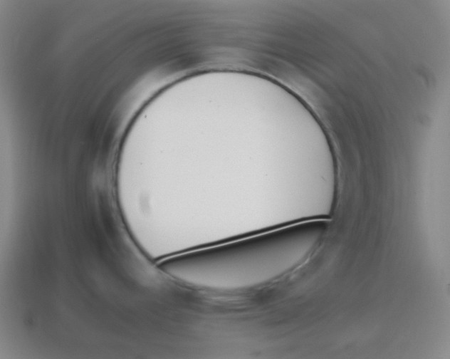 X0000113871392200910221325