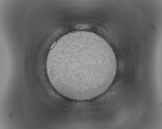 X0000113871393200910221325