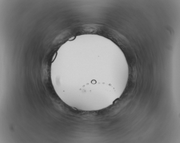 X0000113871394200910221325