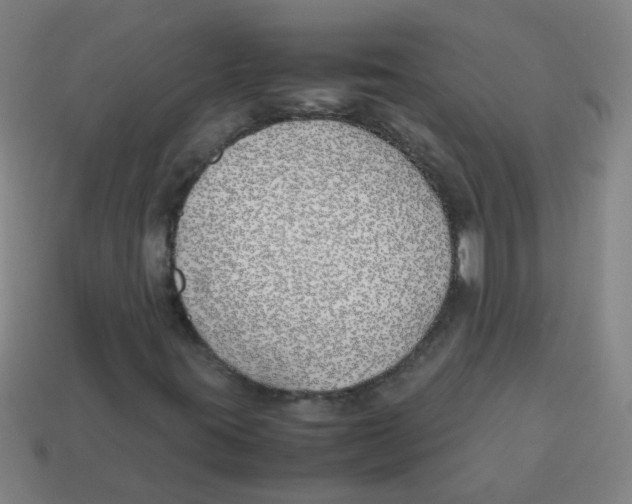 X0000113871395200910221325