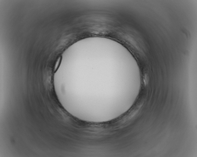 X0000113871396200910221325