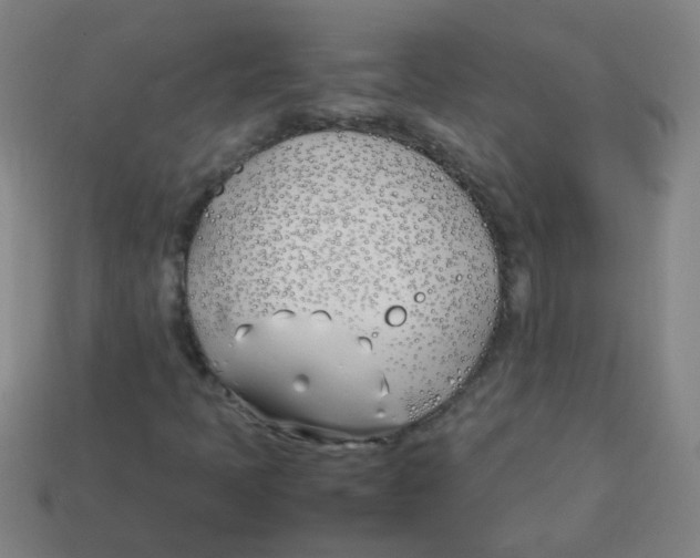 X0000113871397200910221325