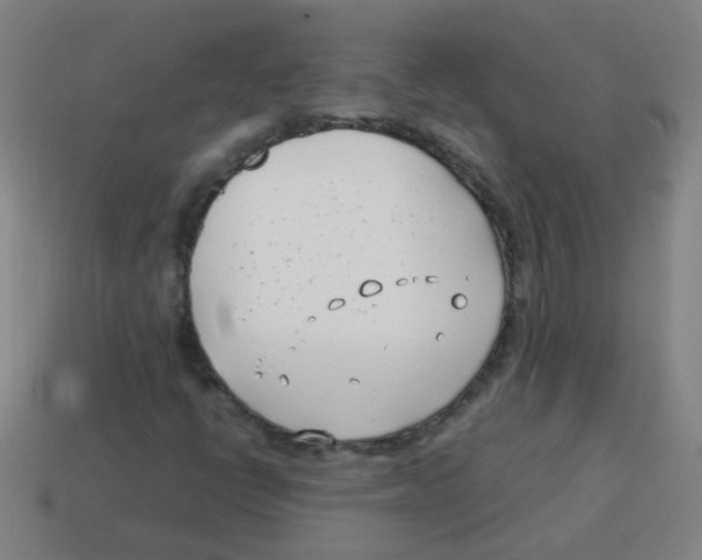 X0000113871398200910221325