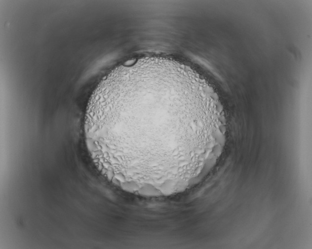 X0000113871399200910221325