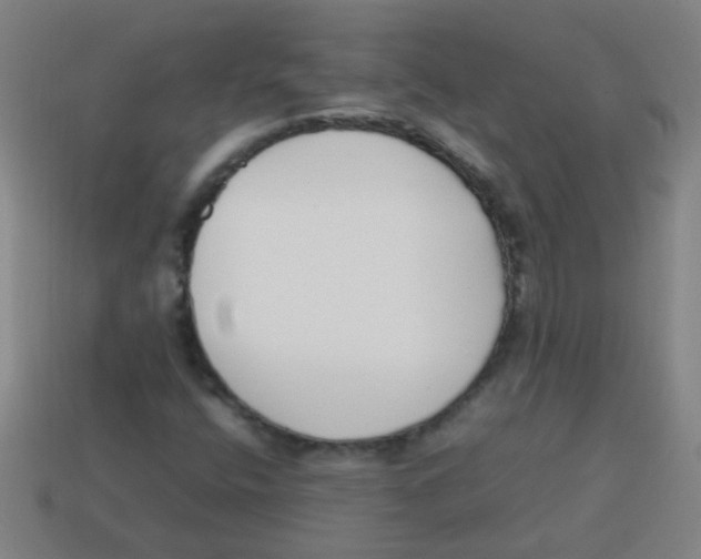 X0000113871400200910221325