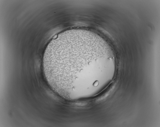 X0000113871401200910221325