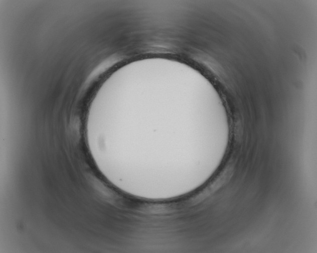 X0000113871402200910221325