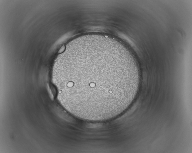 X0000113871403200910221325