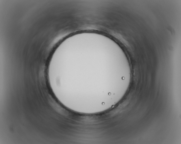 X0000113871404200910221325