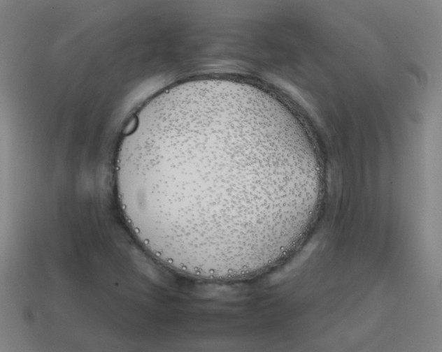 X0000113871405200910221325