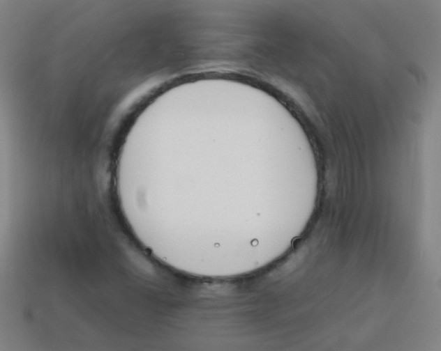 X0000113871406200910221325