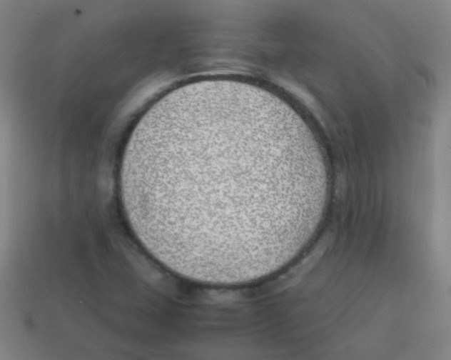 X0000113871407200910221325