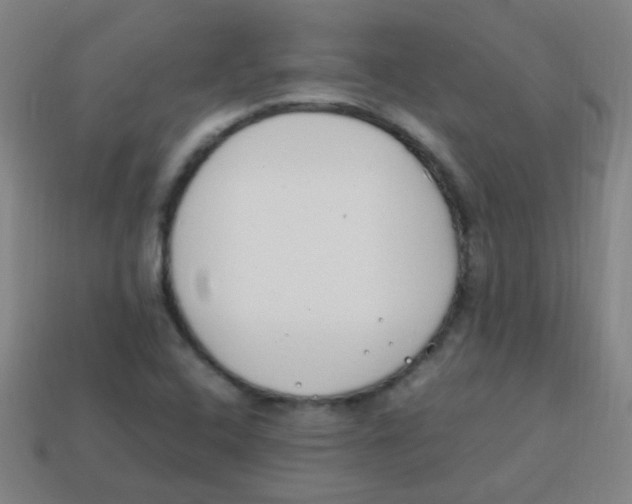 X0000113871408200910221325