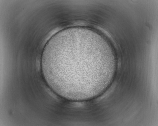 X0000113871409200910221325