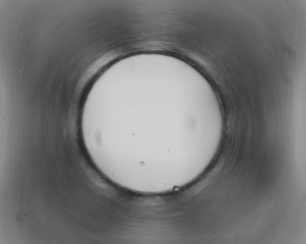 X0000113871410200910221325