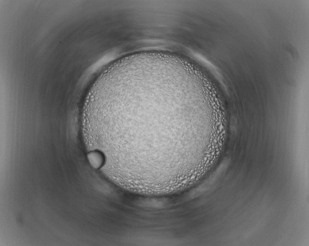 X0000113871411200910221325