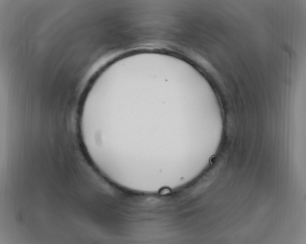 X0000113871412200910221325