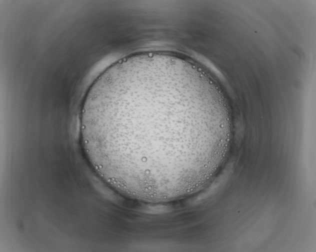 X0000113871413200910221325