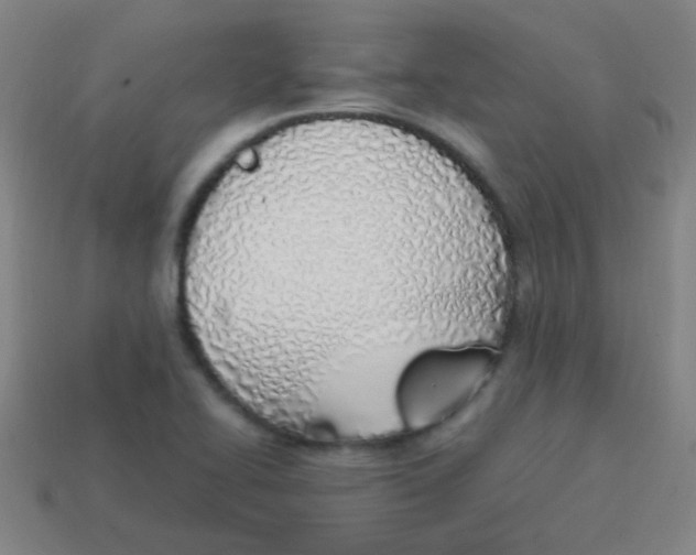 X0000113871414200910221325