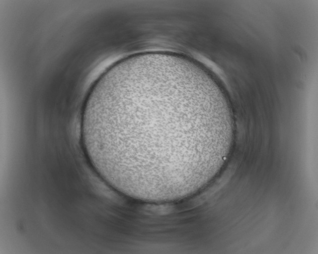 X0000113871415200910221325