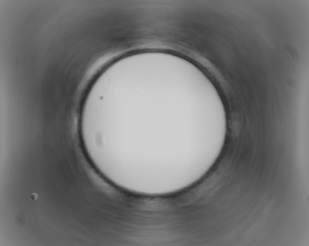 X0000113871416200910221325