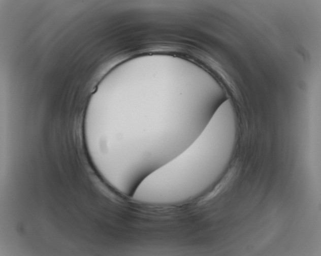 X0000113871417200910221325