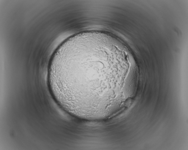 X0000113871418200910221325