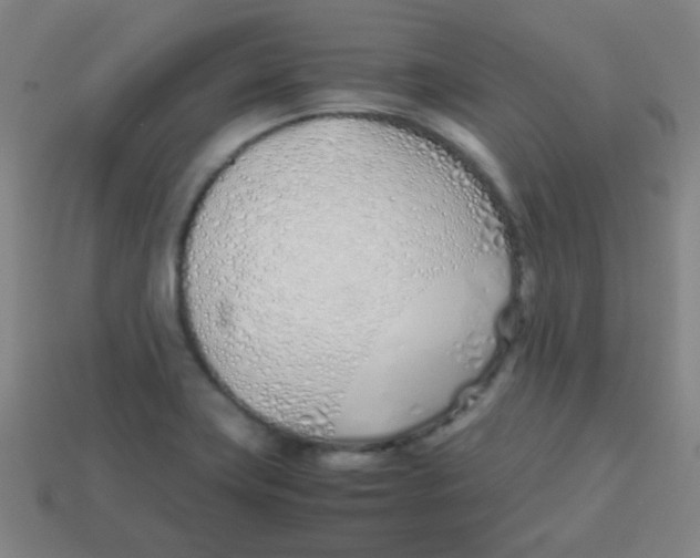 X0000113871419200910221325