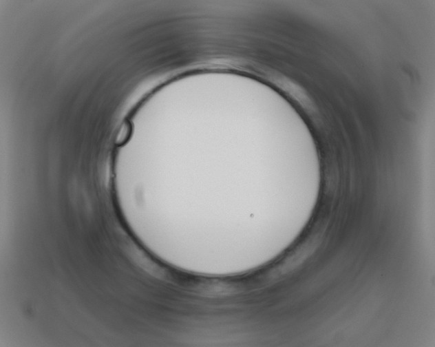 X0000113871420200910221325