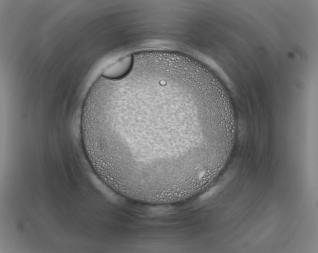 X0000113871421200910221325