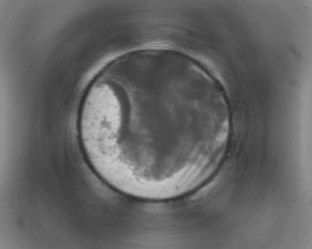 X0000113871422200910221325