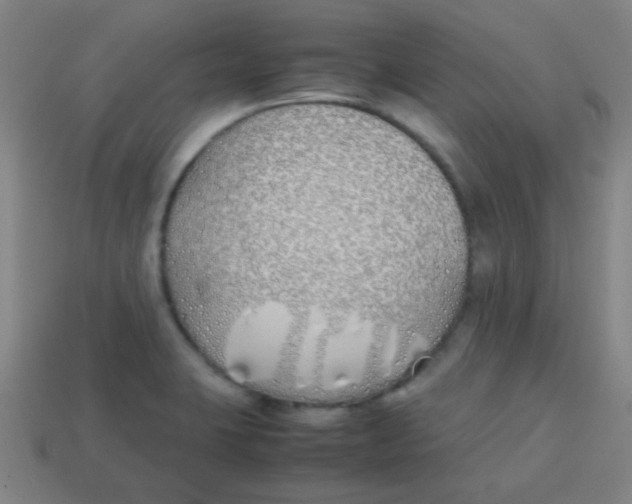 X0000113871423200910221325