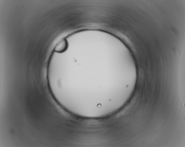 X0000113871424200910221325