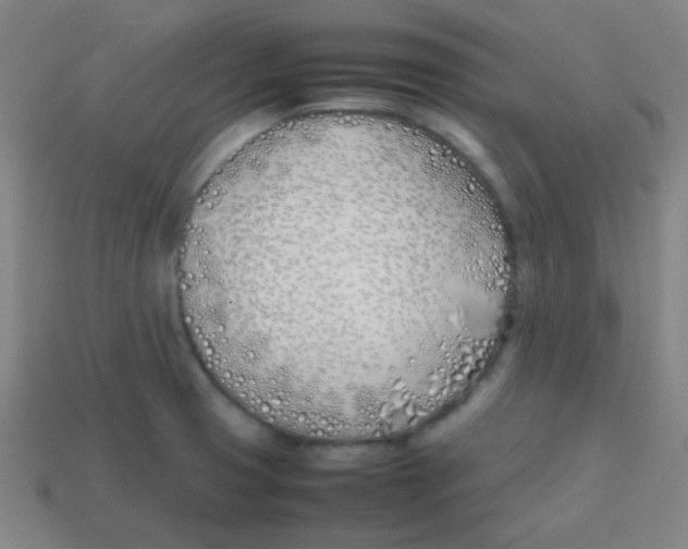 X0000113871425200910221325