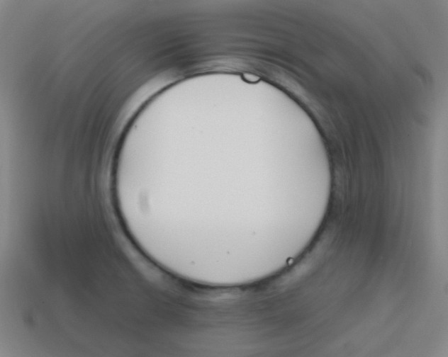 X0000113871426200910221325