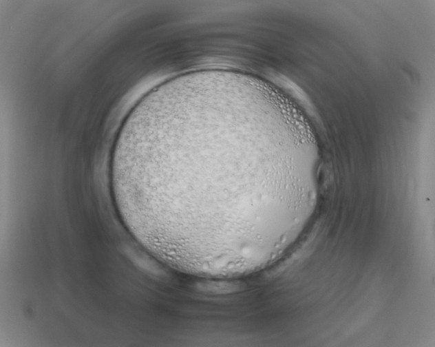 X0000113871427200910221325