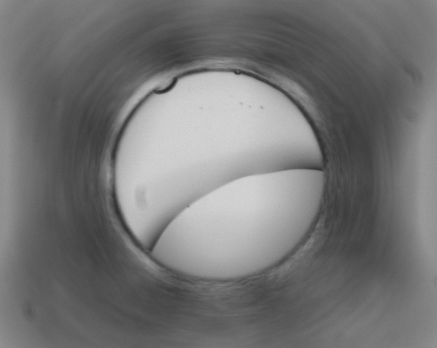 X0000113871428200910221325