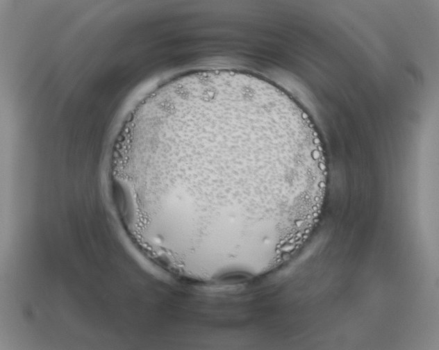 X0000113871429200910221325