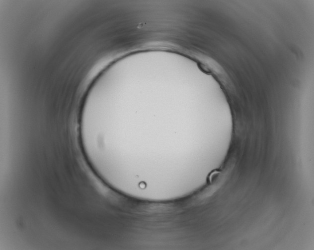 X0000113871430200910221325