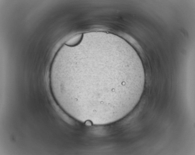 X0000113871431200910221325