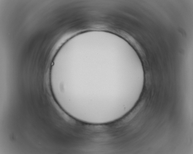 X0000113871432200910221325