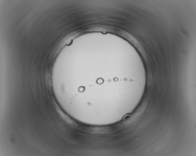 X0000113871433200910221325