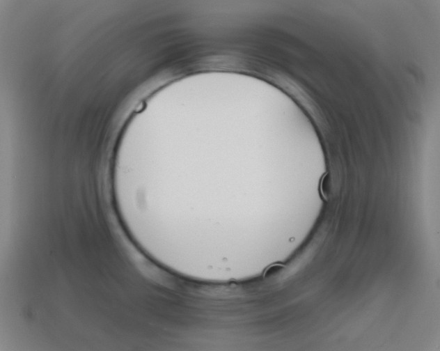 X0000113871434200910221325