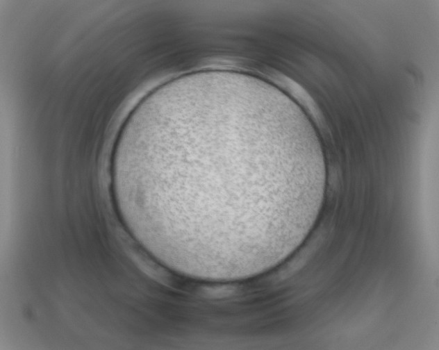 X0000113871435200910221325