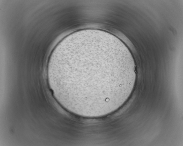 X0000113871436200910221325