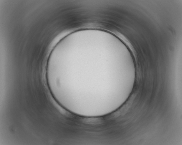 X0000113871437200910221325