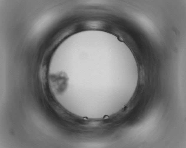 X0000113871438200910221325